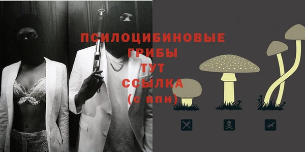 прущий лед Михайловка
