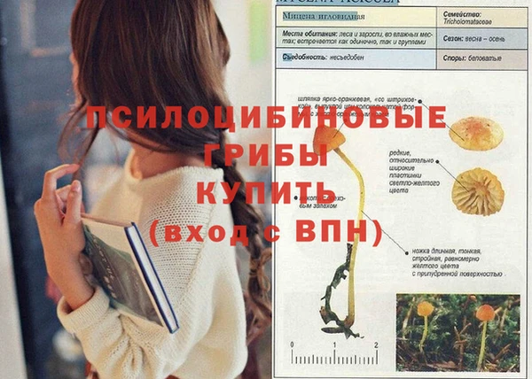 трава Абинск